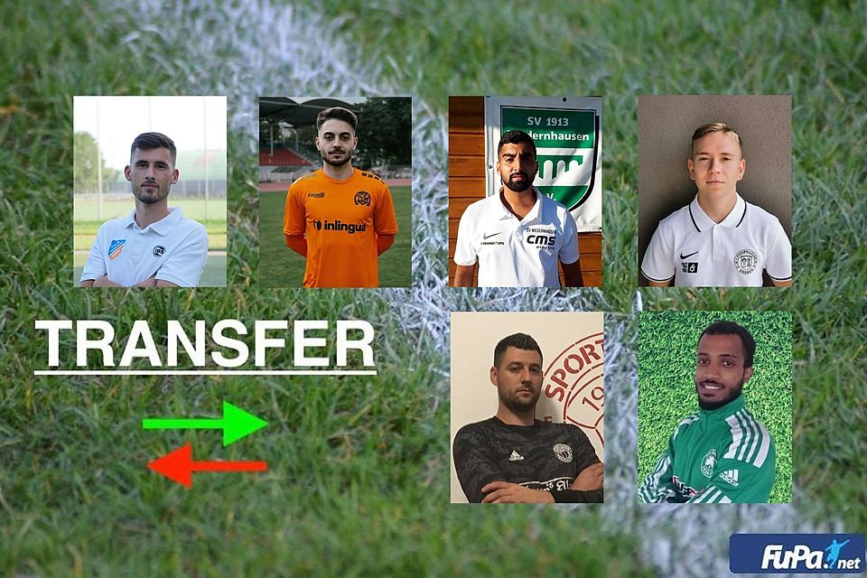 Alle sechs neuen Transfers des FSV Wiesbaden.