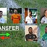 Alle sechs neuen Transfers des FSV Wiesbaden.