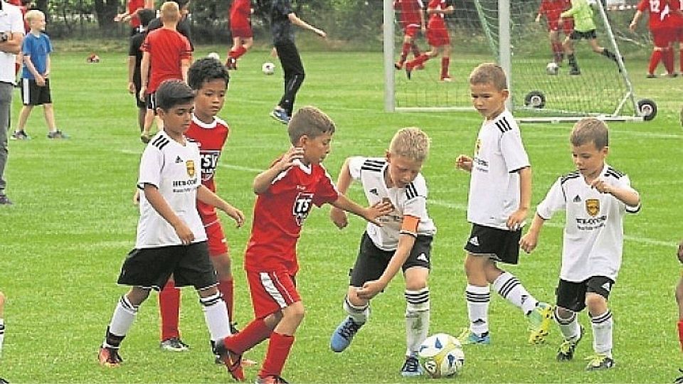 Nur die Augen auf den Ball: Großes Gewusel herrschte wie immer beim F-Junioren Turnier.  F: Luge/Sulzbach