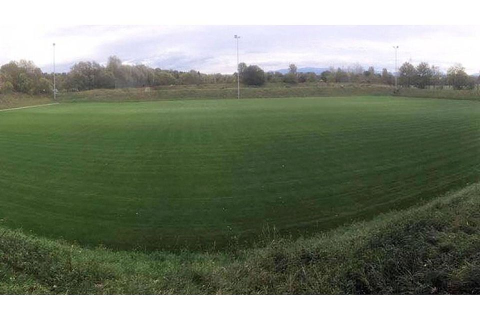 Der neue Winterrasen in Ihringen. | Foto: Joshua Kocher