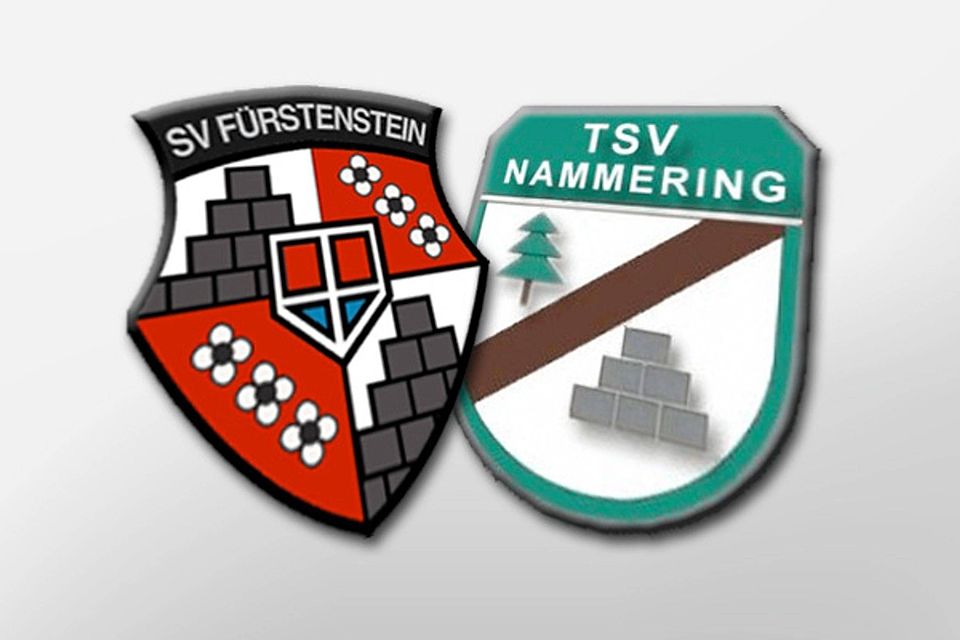 Machen künftig gemeinsame Sache: der SV Fürstenstein und der TSV Nammering. Montage: FuPa