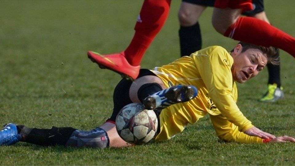 Wer ist der Top-Abwehrspieler der Saison 2016/2017. F: Grundler