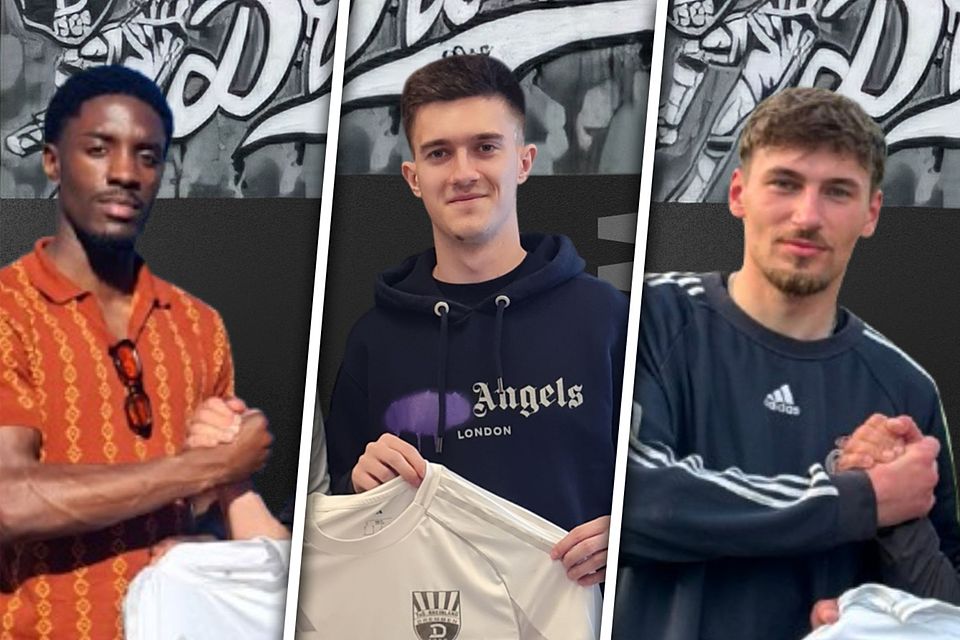 Mit (v.l.) u.a. Lucas de Brito, Nico Schunk und Marshall Ströde hat sich Rheinland Dremmen teils namhaft verstärkt. Mit (v.l.) u.a. Lucas de Brito, Nico Schunk und Marshall Ströde hat sich Rheinland Dremmen teils namhaft verstärkt.