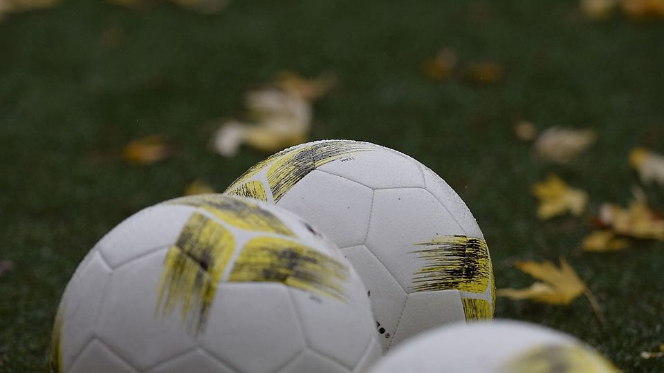 Bei den Crocdiles Herongen kann Gewichtsabnahme zum Problem werden.