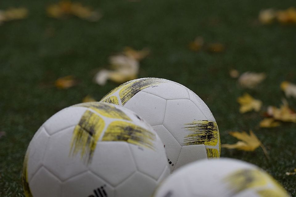 Bei den Crocdiles Herongen kann Gewichtsabnahme zum Problem werden.