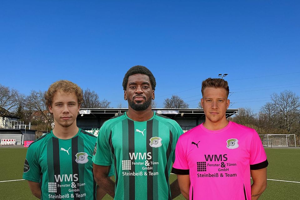 Kuhlmann, Baraza und Lingk (v.l.n.r.) werden auch in der kommenden Spielzeit für die Schwalben auflaufen.