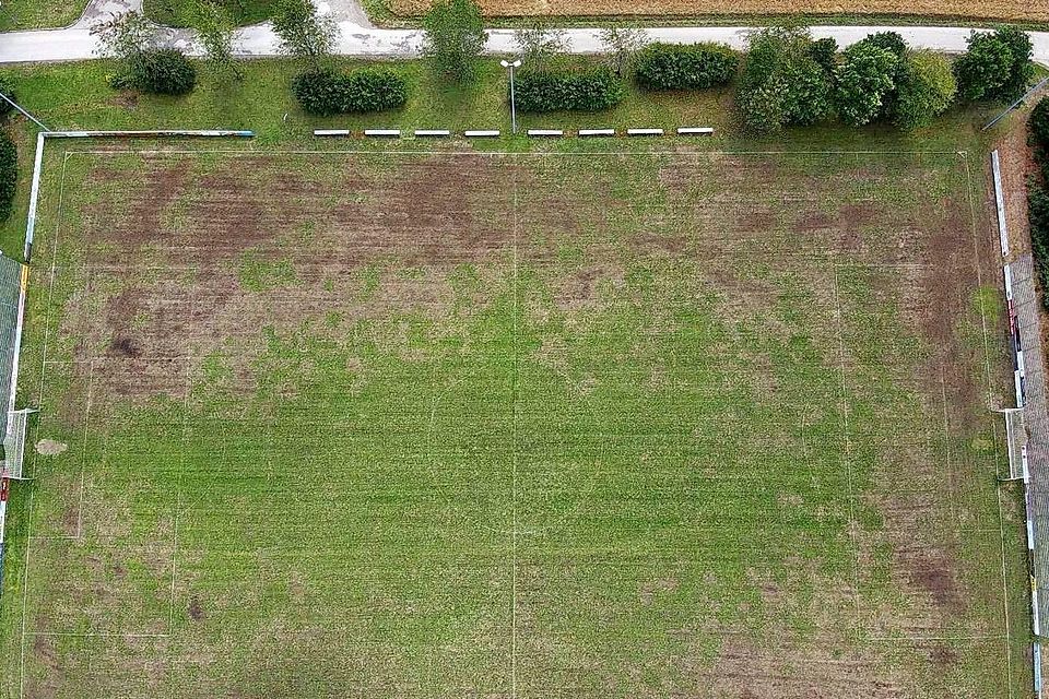 Aus der Luft wird das ganze Ausmaß der Zerstörung deutlich. An den braunen Stellen ist das Gras zerstört. Möglicherweise haben Wildschweine ein übriges getan. Aus der Luft wird das ganze Ausmaß der Zerstörung deutlich. An den braunen Stellen ist das Gras zerstört. Möglicherweise haben Wildschweine ein übriges getan.
