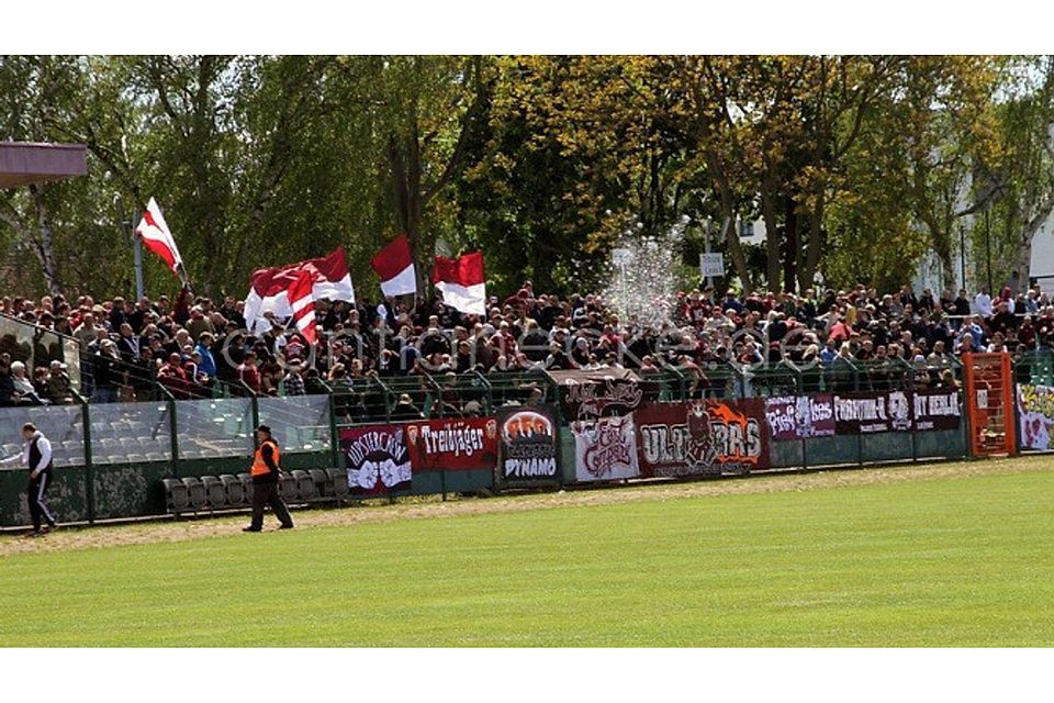 F: Wagner Die Fans des BFC Dynamo dürfen sich unter anderem auf ein Testspiel gegen den 1. FC Magdeburg freuen