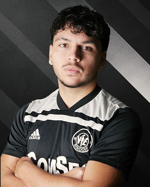 Foto: VfL