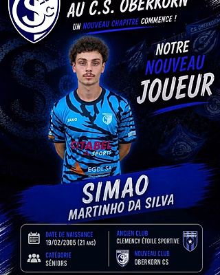 Simao Martinho Da Silva
