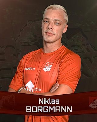 Niklas Borgmann
