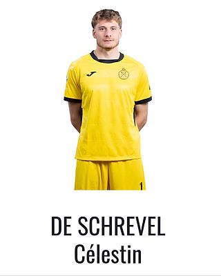 Célestin De Schrevel