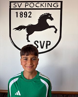 Julian Paluca