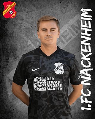 Niklas Kurt Theis