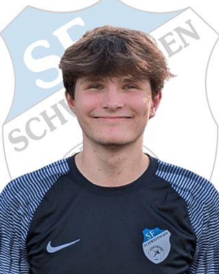 Leo Valentin Hölscher