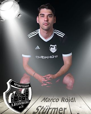 Marco Roidl