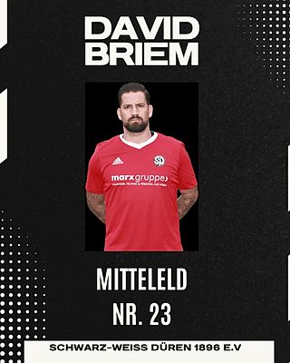 David Briem