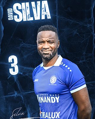 David Mendes Da Silva