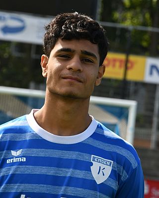 Mahmoud El-Houssein El-Ali