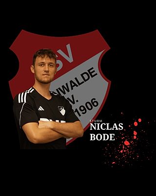 Niclas Bode