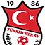 Ali Caner Torun