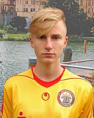 Henrik Krone