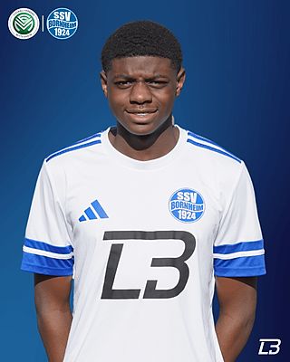 Joshua karl Nkemneng
