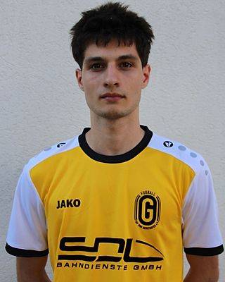 Luca Zamfir