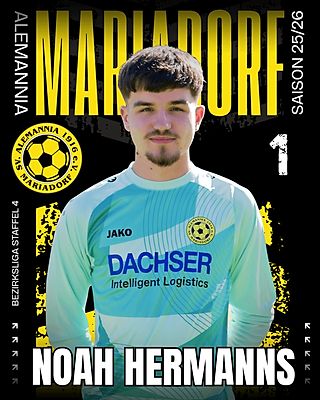 Noah Hermanns