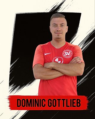 Dominic Gottlieb