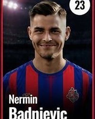 Nermin Badnjevic