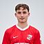 Fabian Hanula
