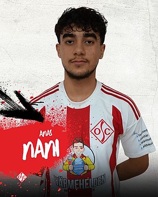 Anas Nani