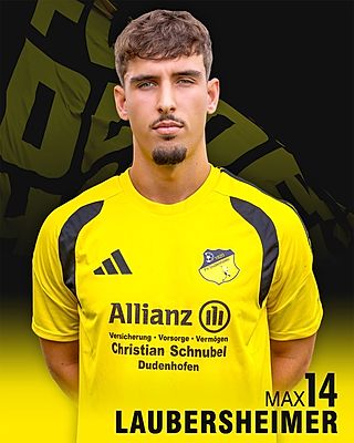 Max Laubersheimer