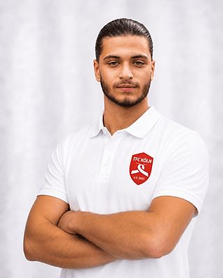 Ahmed-Emin Arslan