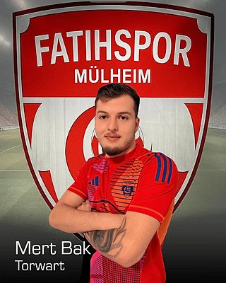 Erol Mert Bak