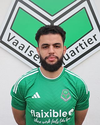 Badr Saadani