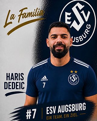 Haris Dedeic