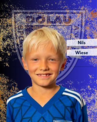 Nils Wiese