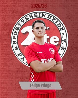 Felipe Priego Wyshoff