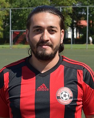 Georgian-Armando Simin