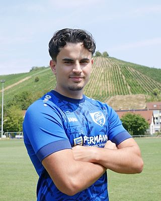 Niklas Ladinser