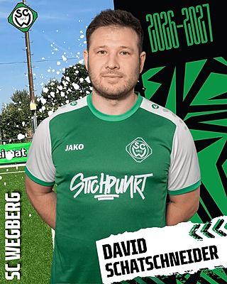 David Schatschneider