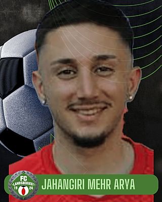 Arya Jahangiri Mehr