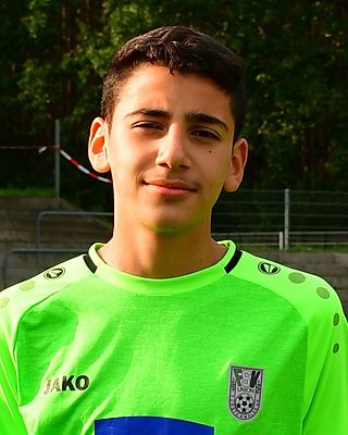 Mohamad Husni Abou Alrish