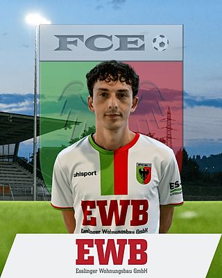 Luis Miguel Pereira Almeida