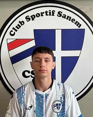 Renato RIBEIRO MARTINS