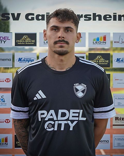 Domenic Raimann