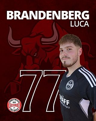 Luca Brandenberg