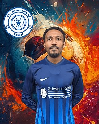 Endris Neguisse Ambese